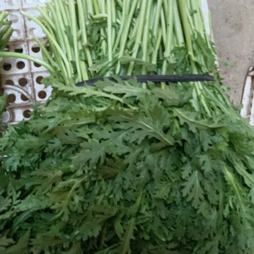 茼蒿