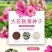 大花秋葵种子，芙蓉葵花种籽，庭院观赏草芙蓉花籽景观花海花