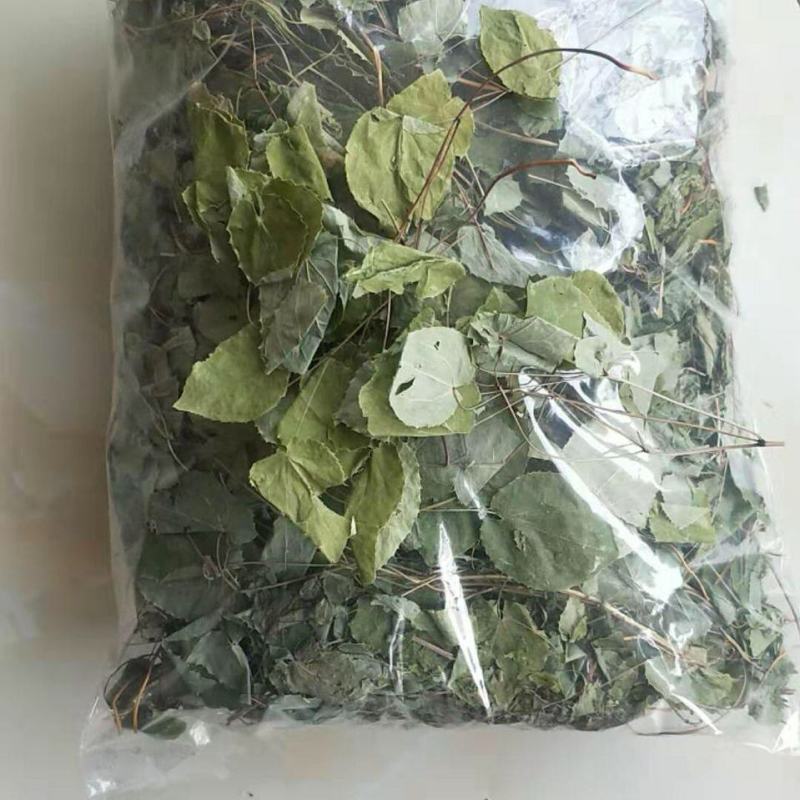 淫羊藿绿色小圆叶甘肃岷县深山正宗仙灵脾甘肃产