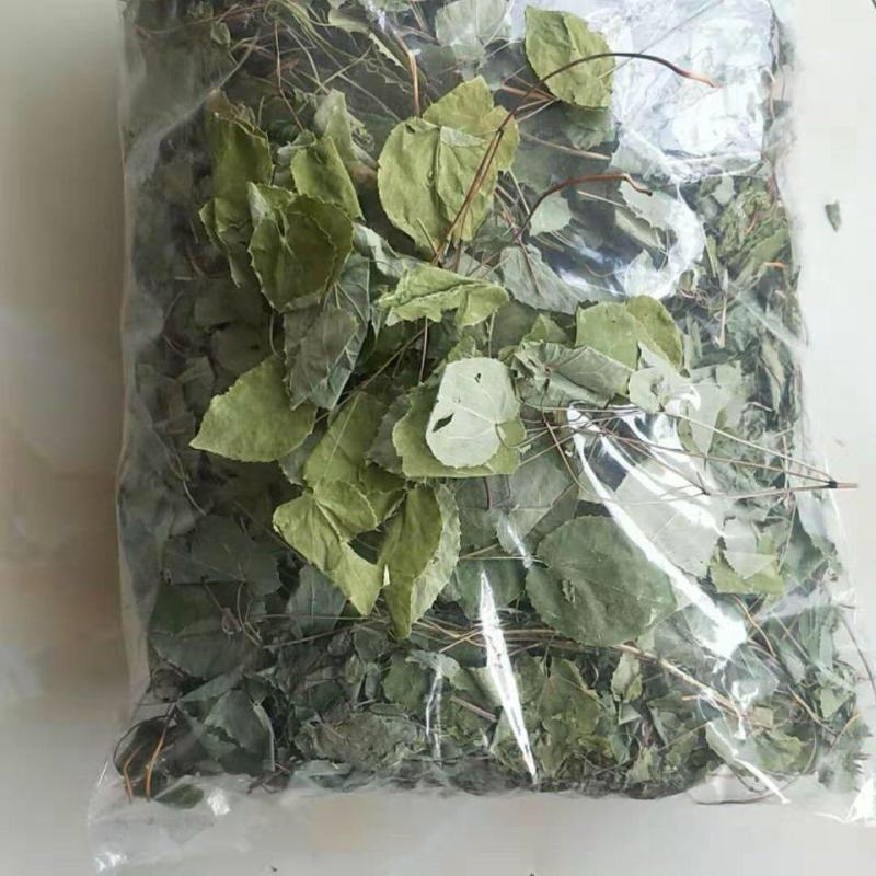 淫羊藿绿色小圆叶甘肃岷县深山正宗仙灵脾甘肃产