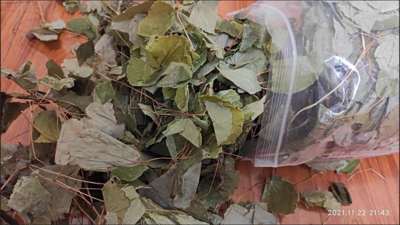 淫羊藿绿色小圆叶甘肃岷县深山正宗仙灵脾甘肃产