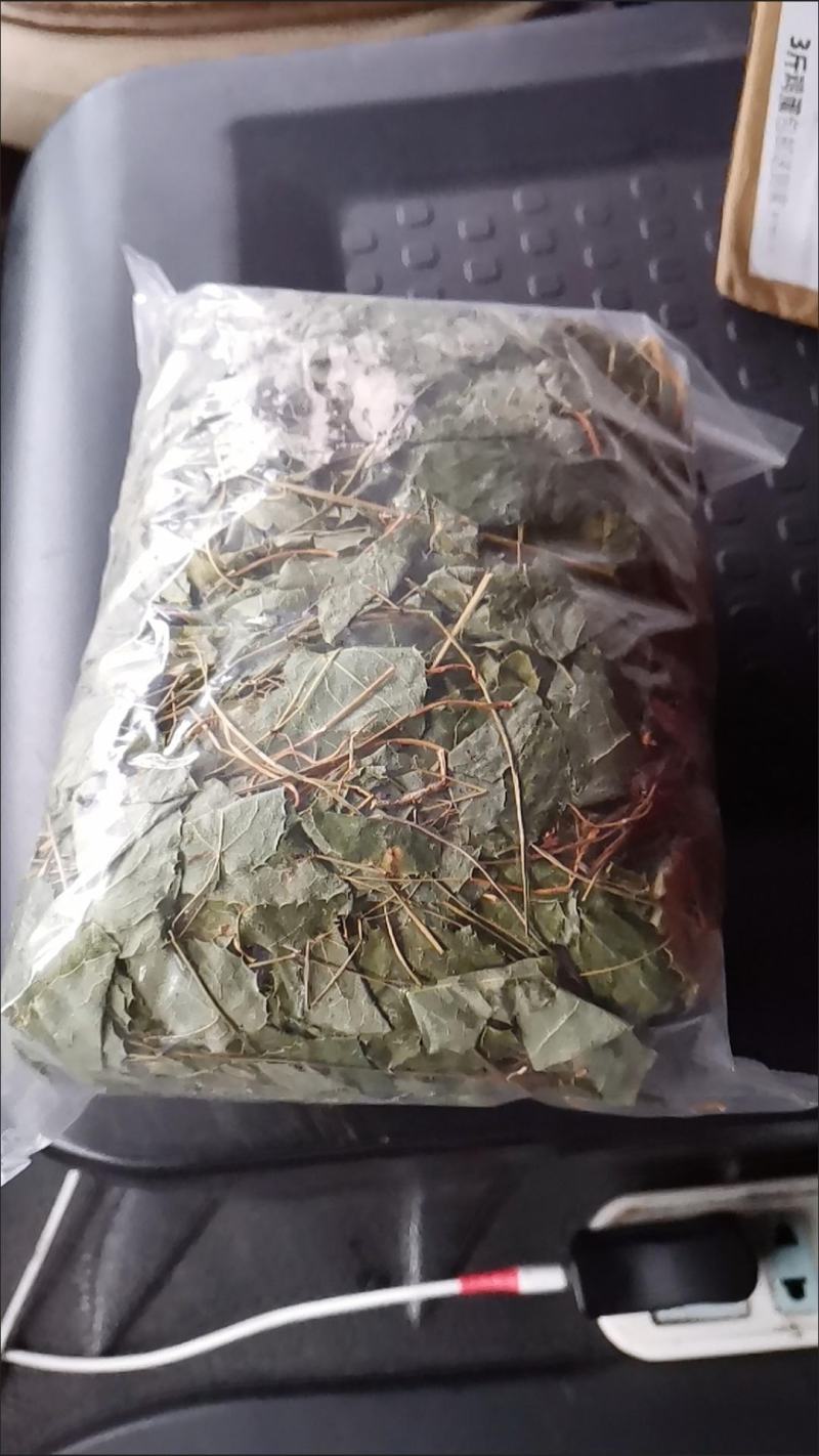 淫羊藿绿色小圆叶甘肃岷县深山正宗仙灵脾甘肃产
