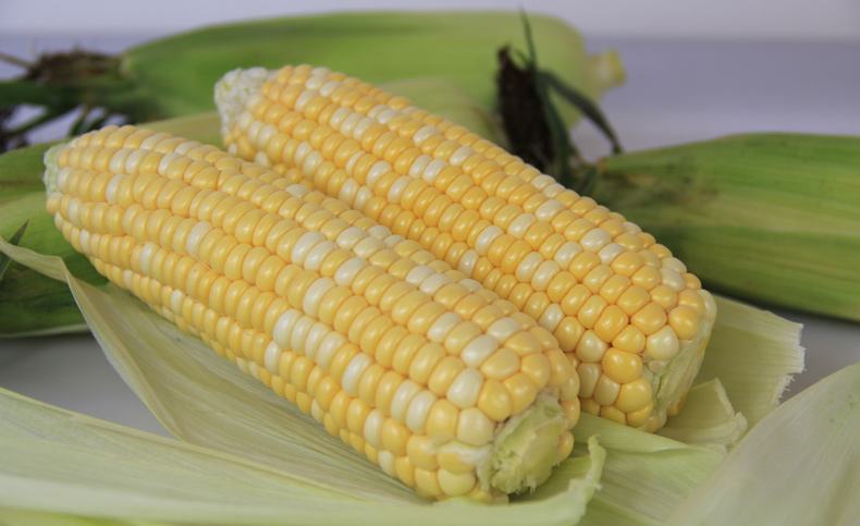 新鲜玉米棒
