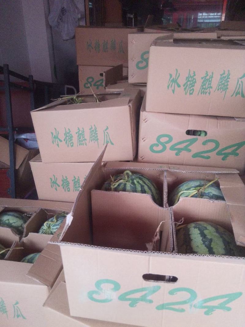 东台各个品种西瓜上市！有需要的老板联系了，
