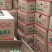 东台各个品种西瓜上市！有需要的老板联系了，