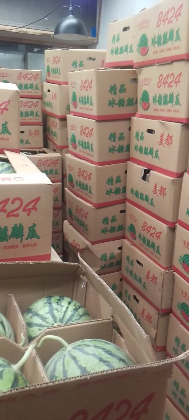 东台各个品种西瓜上市！有需要的老板联系了，