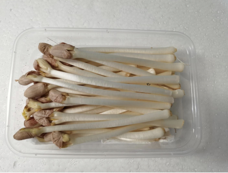 已经打包，明天发货陕西，