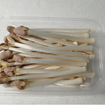 已经打包，明天发货陕西，