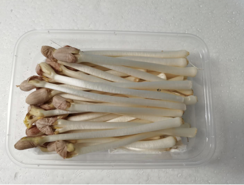 已经打包，明天发货陕西，