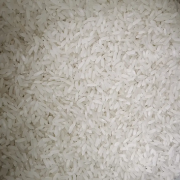 珍珠米大米厂家现货批发珍珠米稻花香米陈米圆粒米