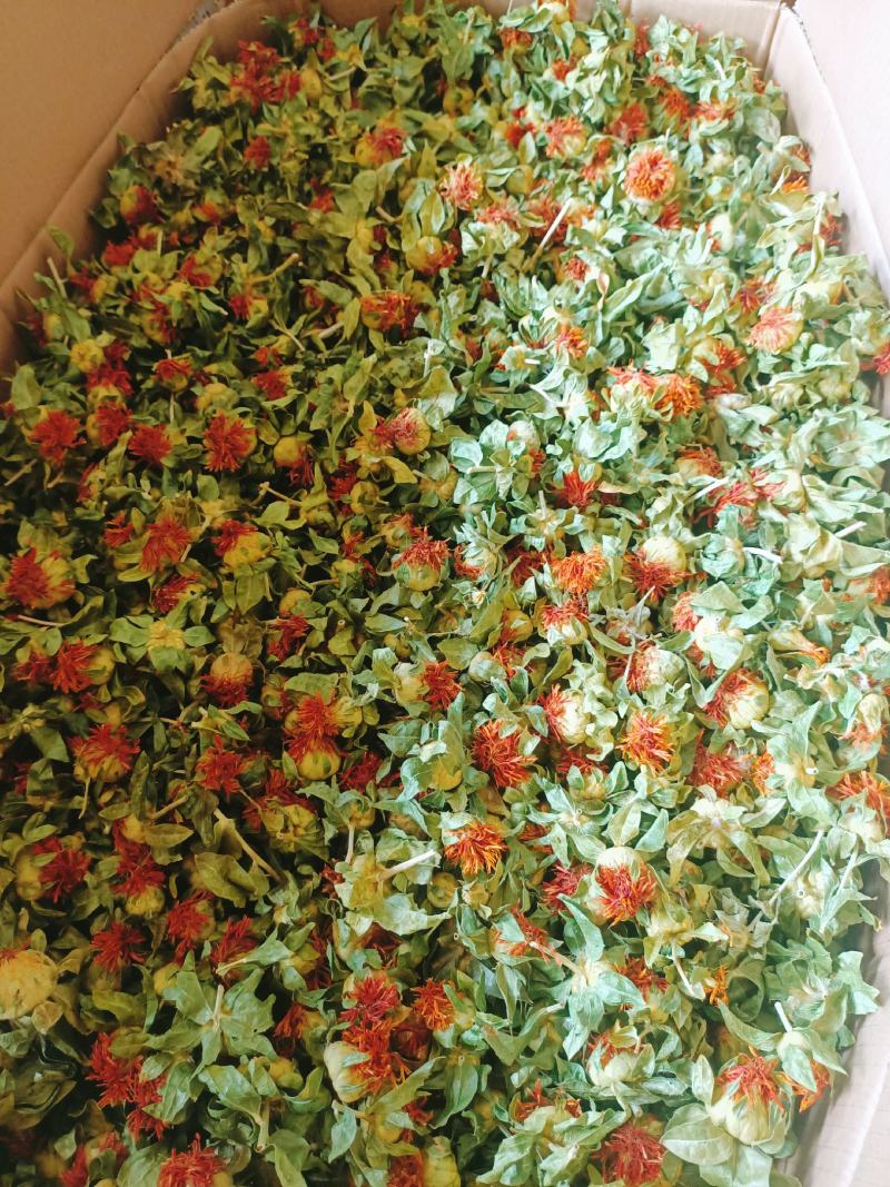 红花果草红花红花朵红花头产地直销批发零售
