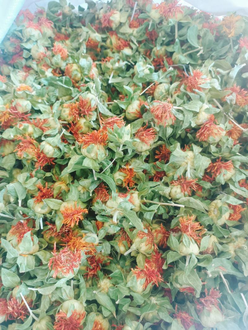红花果草红花红花朵红花头产地直销批发零售