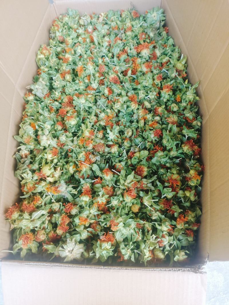 红花果草红花红花朵红花头产地直销批发零售
