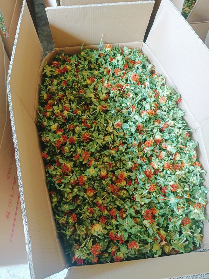 红花果草红花红花朵红花头产地直销批发零售