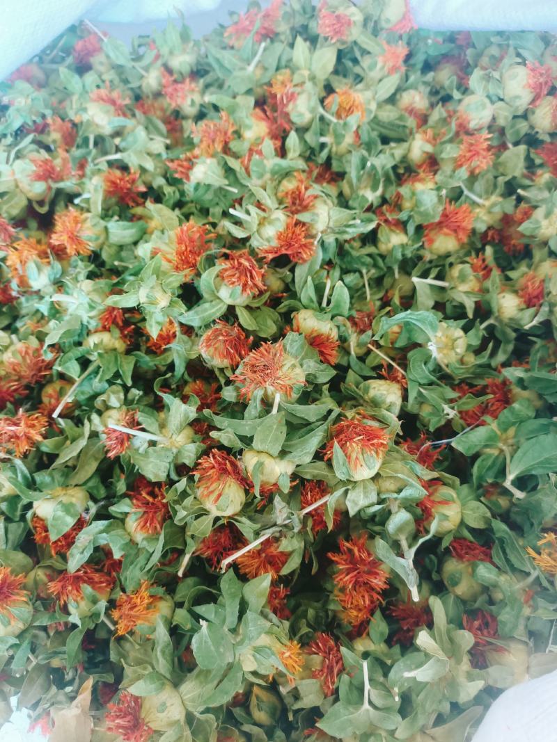 红花果草红花红花朵红花头产地直销批发零售