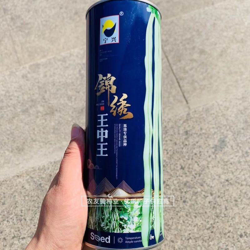 锦绣王中王架豆种子白花超长九粒白芸豆种籽无筋架豆种子