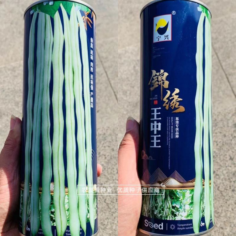 锦绣王中王架豆种子白花超长九粒白芸豆种籽无筋架豆种子