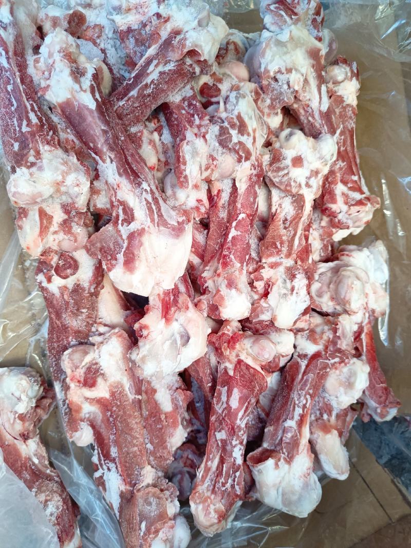 内蒙古草地羊肉棒骨