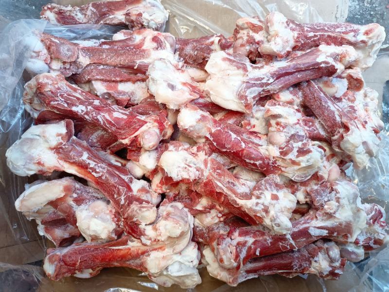 内蒙古草地羊肉棒骨