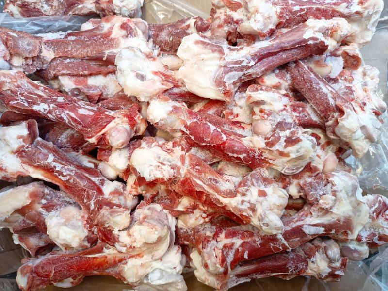 内蒙古草地羊肉棒骨