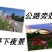 波斯菊种子花卉种子格桑花种子全年开花组合种子