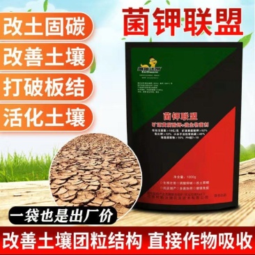 菌钾联盟矿源黄腐酸钾+菌剂
