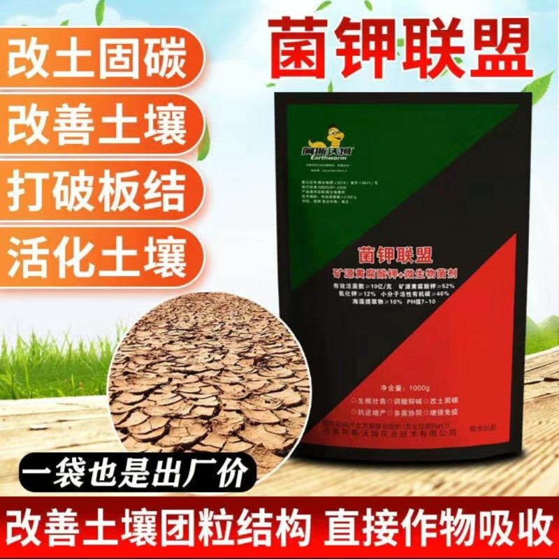 菌钾联盟矿源黄腐酸钾+菌剂