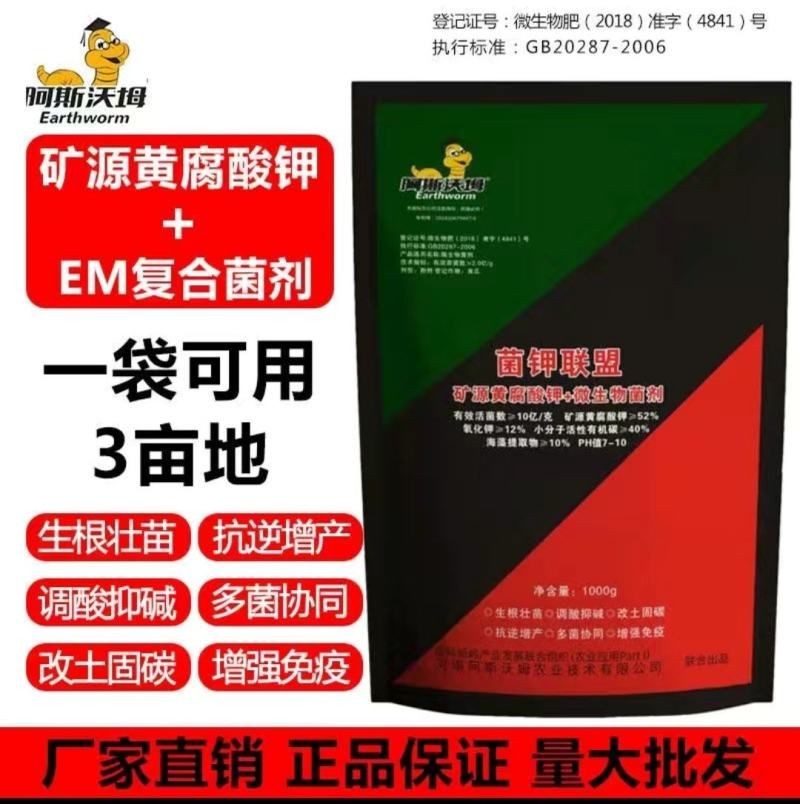 菌钾联盟矿源黄腐酸钾+菌剂
