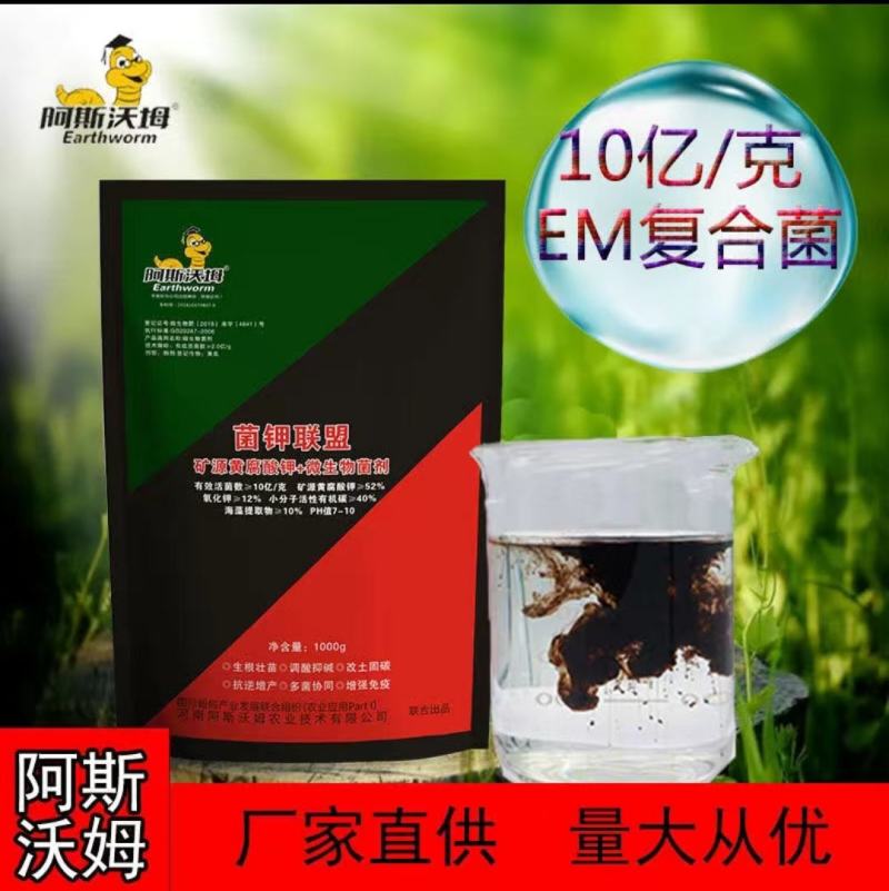 菌钾联盟矿源黄腐酸钾+菌剂