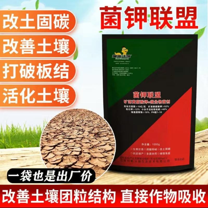 菌钾联盟矿源黄腐酸钾+菌剂