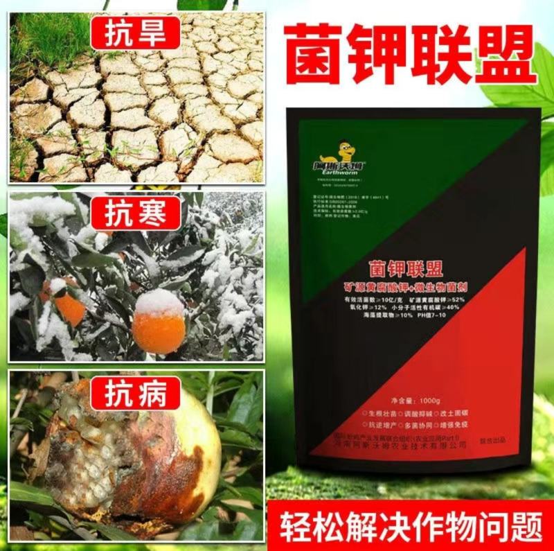菌钾联盟矿源黄腐酸钾+菌剂