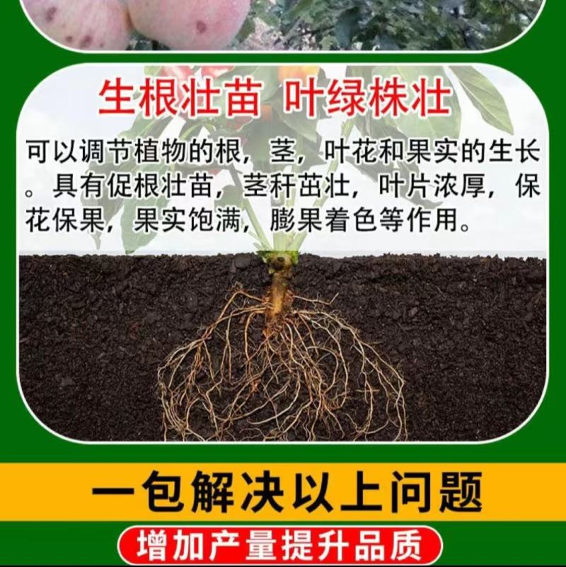 菌钾联盟矿源黄腐酸钾+菌剂