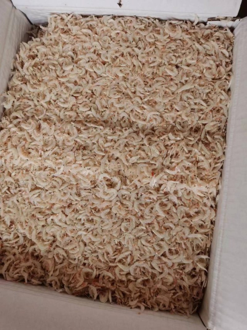 山东无盐淡干虾皮自家工厂品质保证接商超市场电商欢迎联系