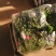 河南大棚尖叶打捆菠菜大量出货大叶菠菜全国代发