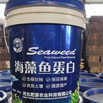 海藻鱼蛋白海藻金枪鱼为主要原料鱼蛋白水溶肥