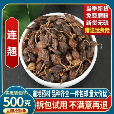 新货上市秦岭深山连翘贯叶连翘正品中药材