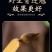 新货上市秦岭深山连翘贯叶连翘正品中药材