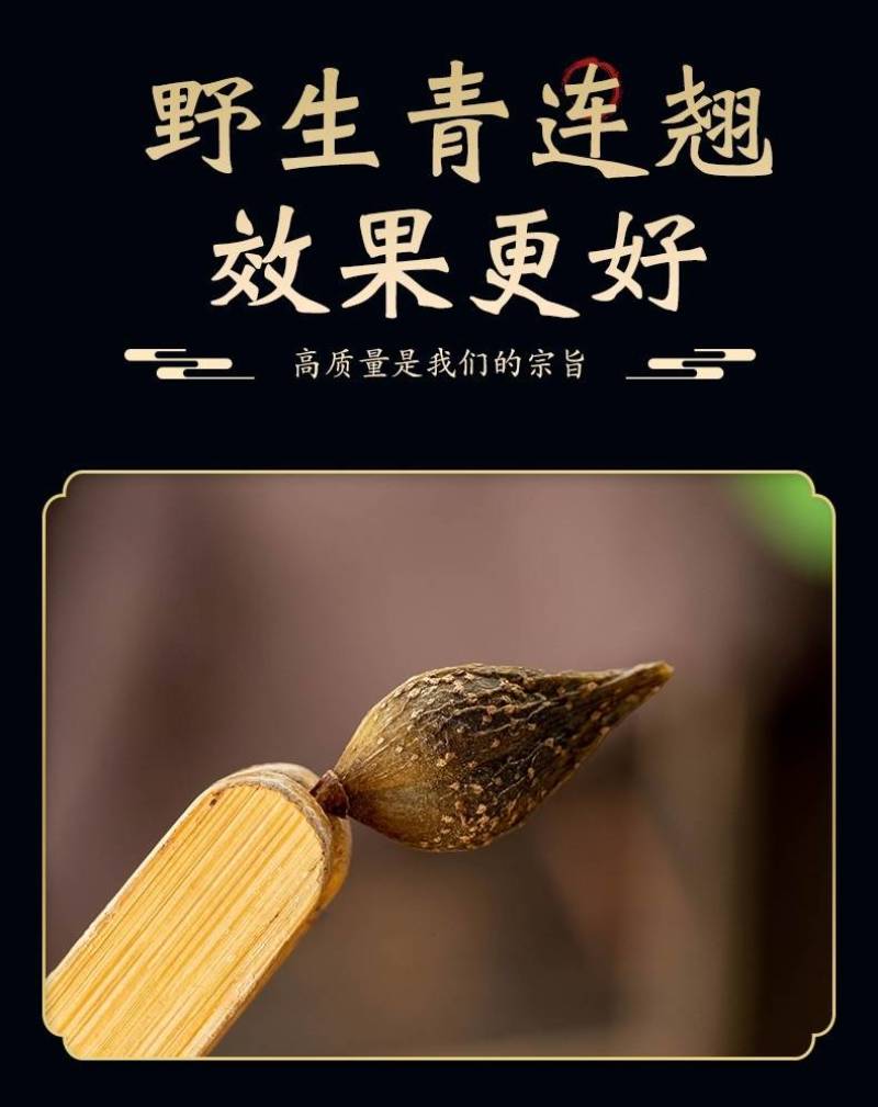 新货上市秦岭深山连翘贯叶连翘正品中药材