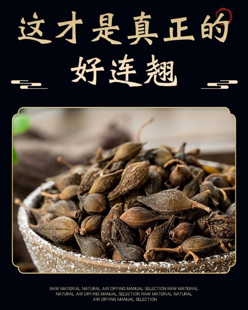 新货上市秦岭深山连翘贯叶连翘正品中药材