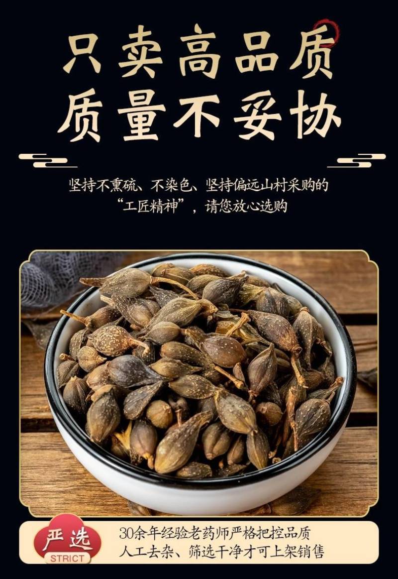 新货上市秦岭深山连翘贯叶连翘正品中药材