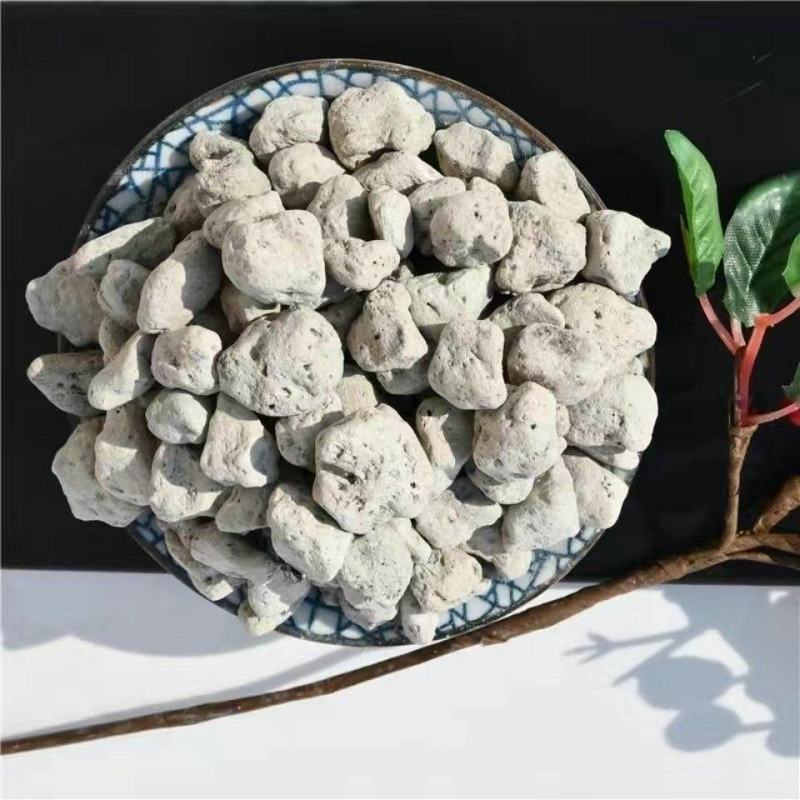 海浮石干货矿石类中药材浮海石花欢迎选购量大从优！