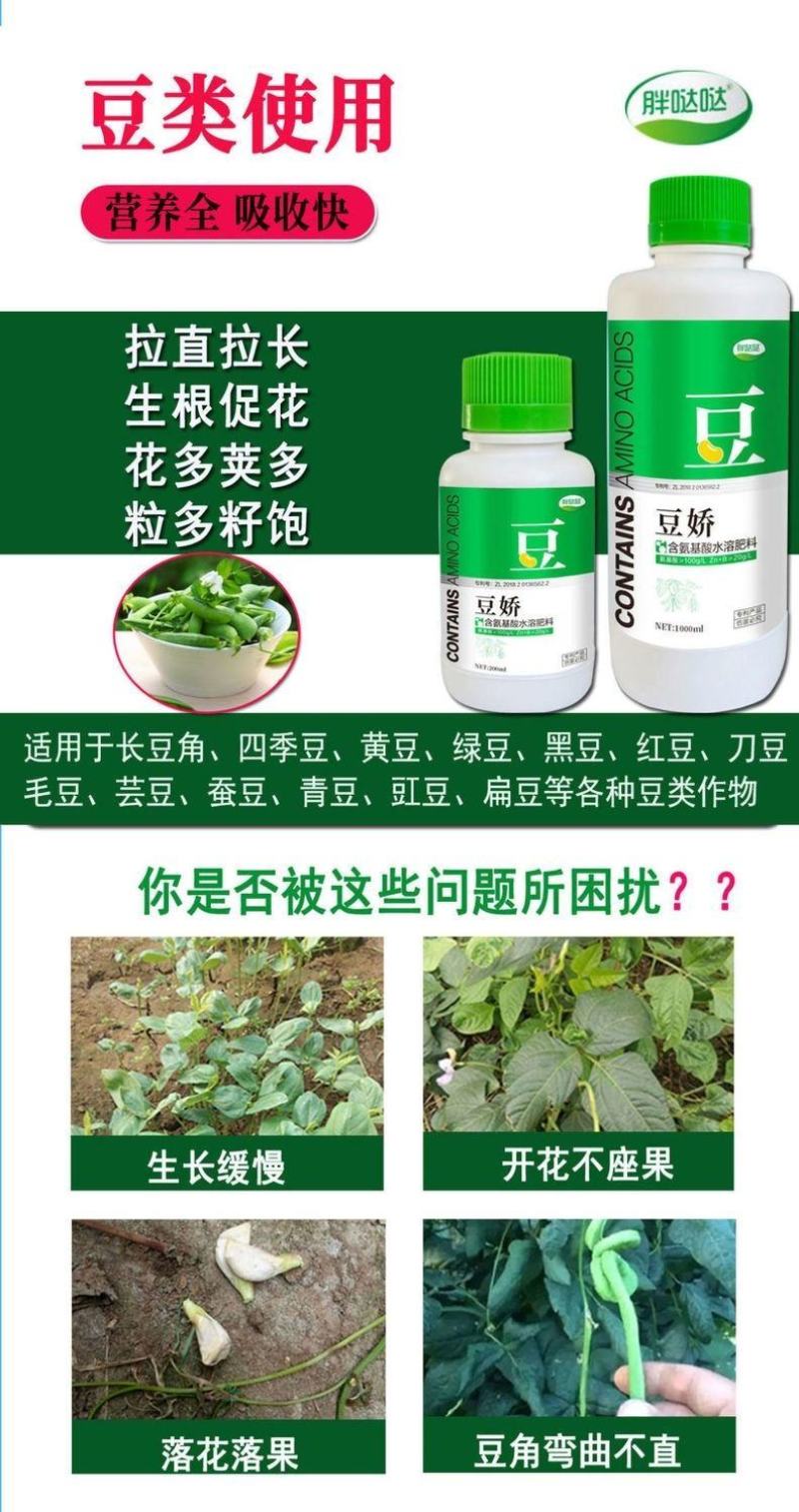 豆娇叶面肥豆角芸豆专用强力多开花多结荚果拉直拉长氨基酸叶
