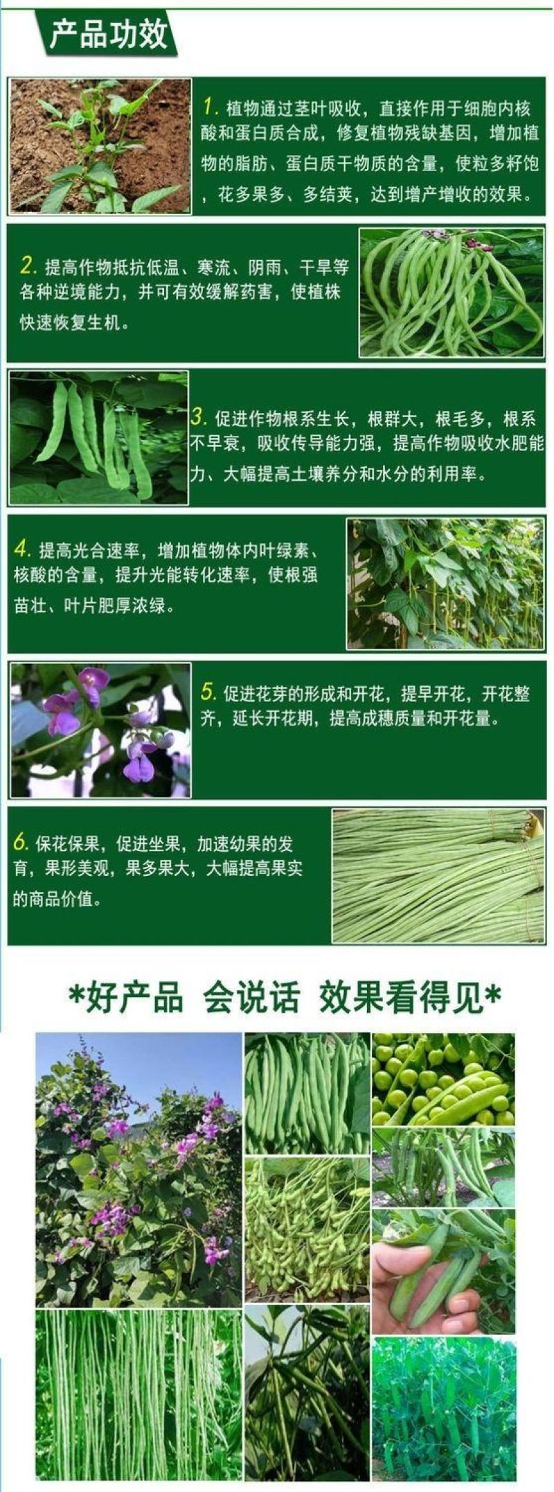 豆娇叶面肥豆角芸豆专用强力多开花多结荚果拉直拉长氨基酸叶