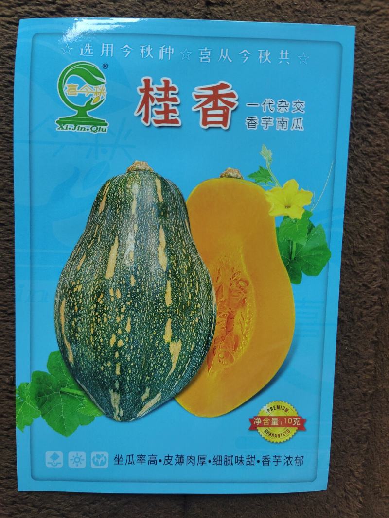 早中熟优质品种肉质致密肉金黄香芋味采收期长