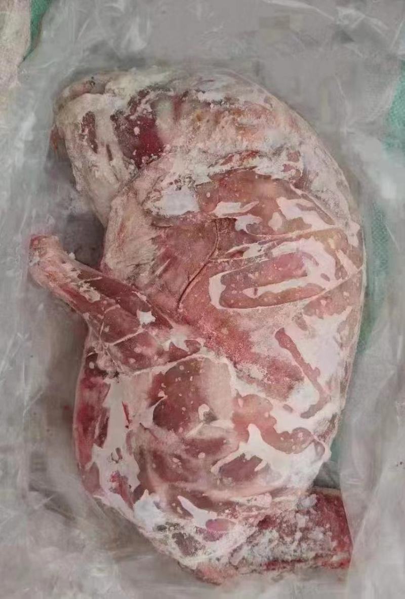 全羊白条