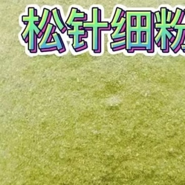 松针粉