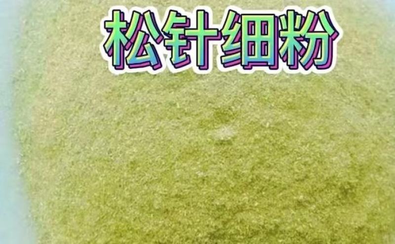 松针粉