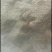 松针粉
