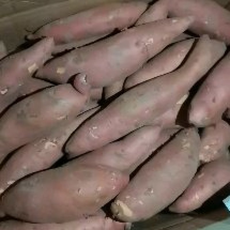 精品龙九通货产地直发，支持各种包装，货源充足，供应各大档