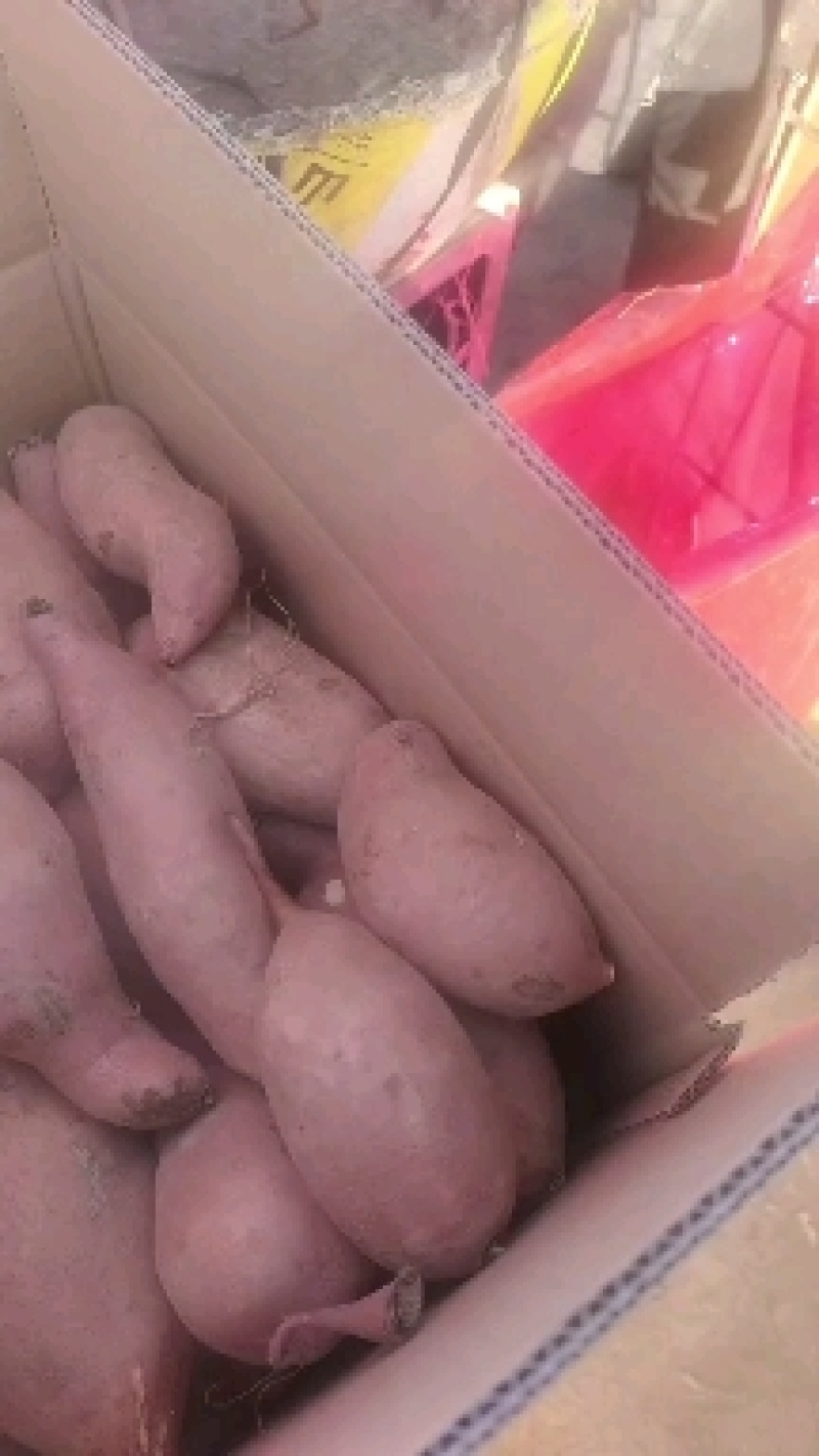 精品龙九通货产地直发，支持各种包装，货源充足，供应各大档